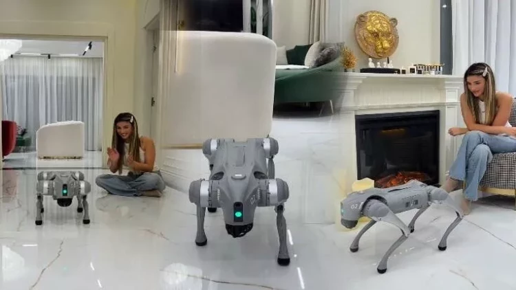 Azərbaycanlı bloger robot it alıb