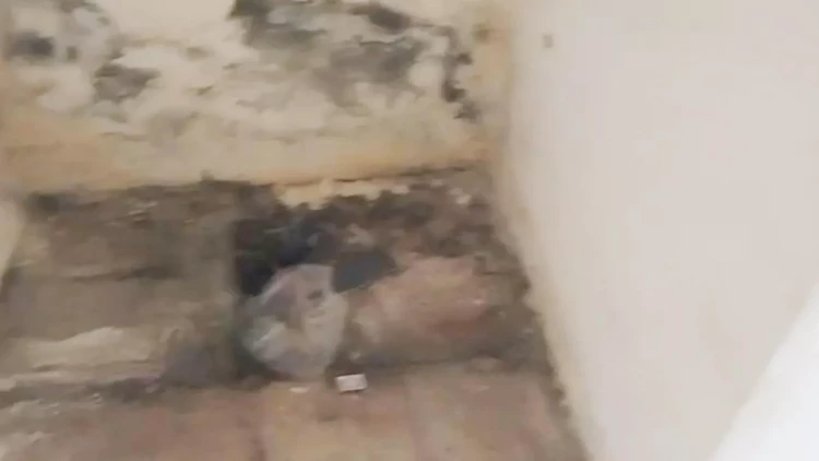 Yevlax stadionunda biabırçı vəziyyət - VIDEO