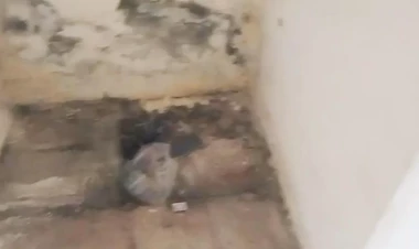 Yevlax stadionunda biabırçı vəziyyət - VIDEO