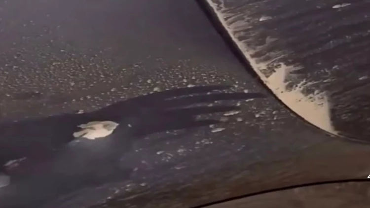 Yoldan keçən avtomobilləri daşlayanlar kimdir?