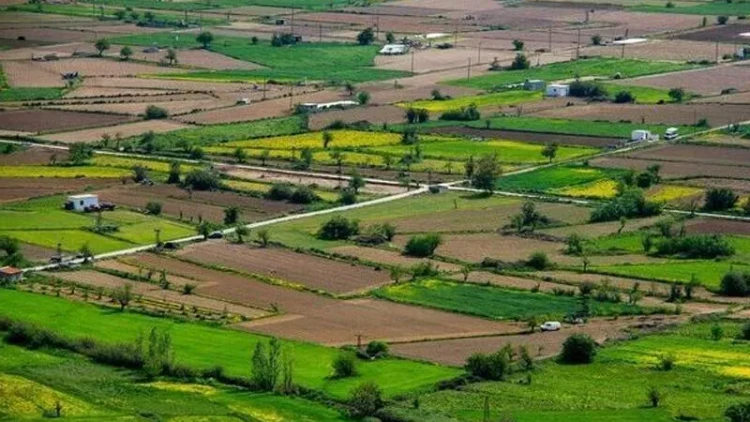 Kənd torpaqlarında müvəqqəti tikililər üçün yeni qaydalar təsdiqləndi