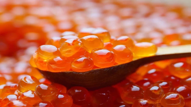 Üzərində E‑239 yazılan kürü almayın - Zəhər saçır