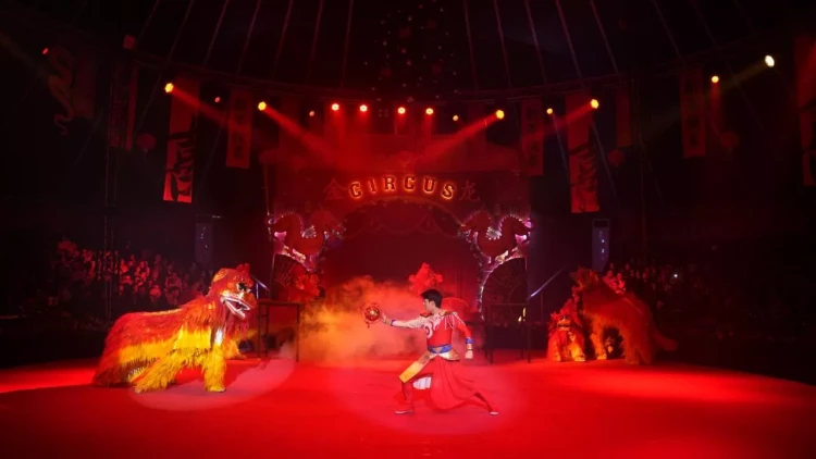 Sirkdə rekord başlanğıc: Çin Sirki başladı - artıq 20 000 bilet satılıb - VİDEO - FOTO