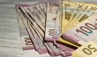 Məişət zorakılığından zərər çəkən şəxslər bu rüsumlardan azad edilir