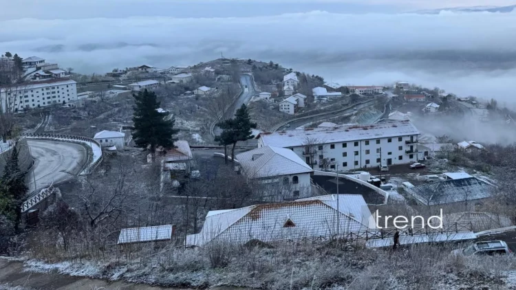 Laçına da qar yağır - FOTO