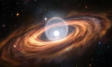 Alimlər cəhənnəmi tapdılar - FOTO