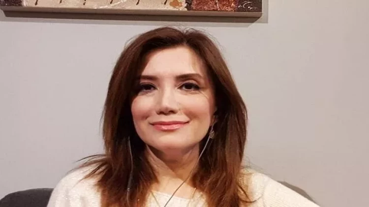 Saxta müxalifətin ifşası: Gültəkin Hacıbəyli işi