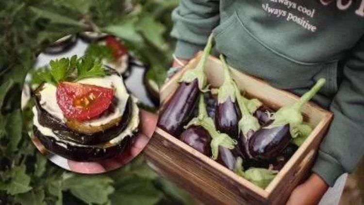 Restoran dadında möhtəşəm atışdırmalıq: Cəmi bir neçə dəqiqəyə hazırdır