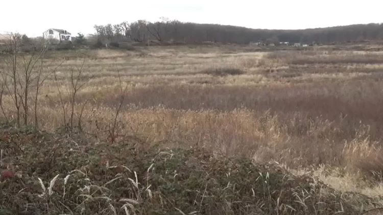 670 minə bataqlığı göl edəcəklər