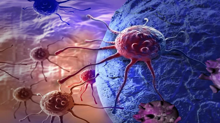 Hərəkətsizlik xərçəng riskini artırırmı?