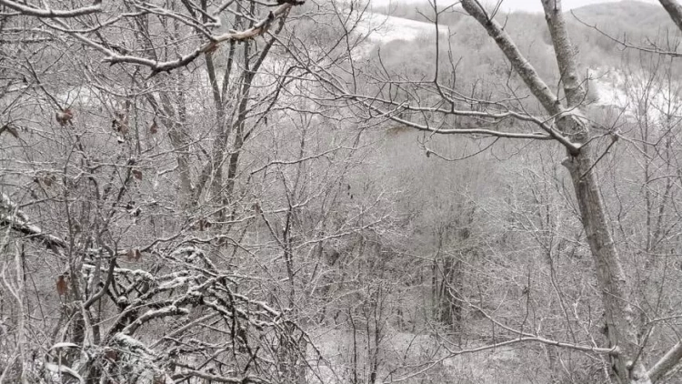 Ağdərəyə ilk qar yağdı - FOTO