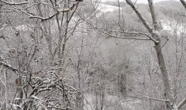 Ağdərəyə ilk qar yağdı - FOTO