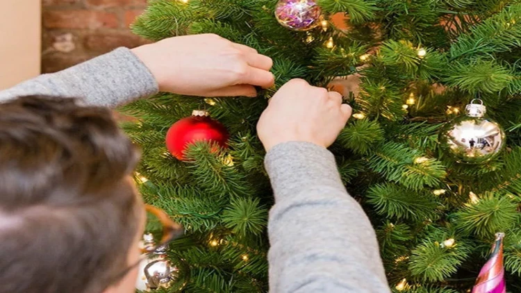 Süni yolkaların zərərləri nələrdir? - AÇIQLAMA
