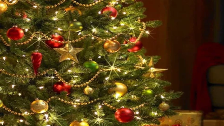 Bayramdan sonra evdə yolkanı necə düzgün yığışdırmalıyıq?