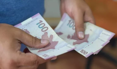 Bu şəxslər icbari tibbi sığorta haqqını özləri ödəyəcək