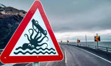 Dünyanın ən qəribə yol nişanı və onun gizli mənası