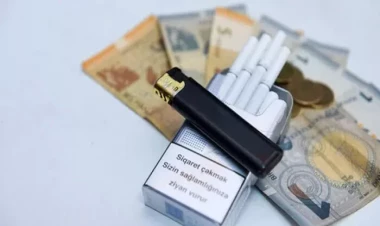 Azərbaycanda bir sıra tütün şirkətləri borca düşüb - SİYAHI