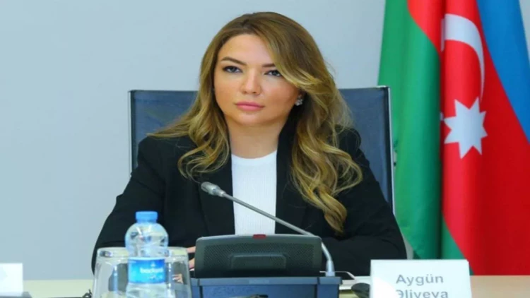 Aygün Əliyevaya yeni vəzifə verildi