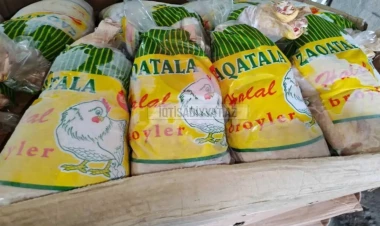 Azərbaycanda broyler şirkəti yenidən satışa çıxarıldı - FOTO