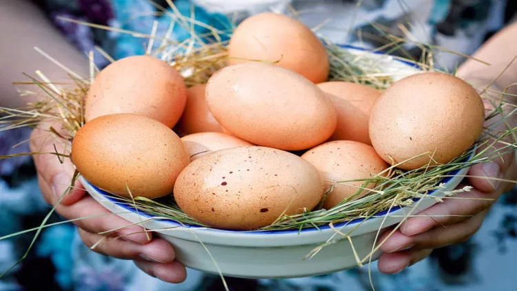 Yumurta niyə bahalaşır?  - AÇIQLAMA