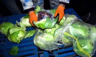 Gömrükdən kələm adı ilə keçirirdilər - İçindən narkotik çıxdı - FOTO