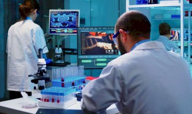 İnsan orqanizmində yeni bakteriya tapıldı