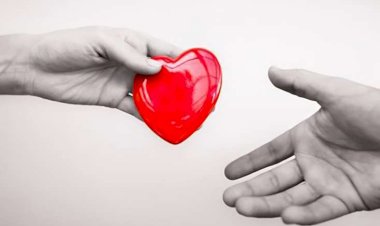 Orqan nəqli ilə yaddaş və xatirələr də köçürülə bilər?