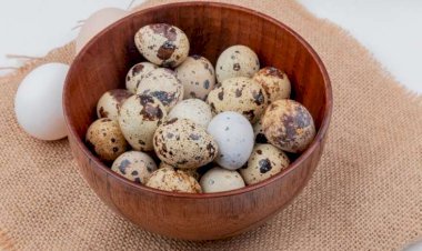 Bu xəstəliyi olanlar bildirçin yumurtası yeməlidir