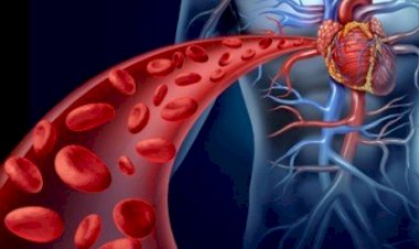 Qan dövranını yaxşılaşdırmaq üçün 7 SADƏ MƏSLƏHƏT