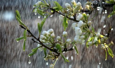 Ölkədə yağıntılı hava şəraiti davam edir, Ağsuya dolu düşüb - FAKTİKİ HAVA