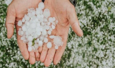 Bu rayona dolu düşüb - Faktiki hava
