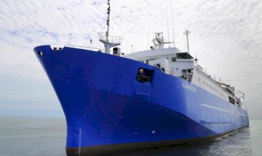 Eritreyada girov saxlanılan Azərbaycan vətəndaşları ölkəyə gətirilib