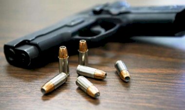 Onlar mülki odlu silah əldə edə biləcəklər