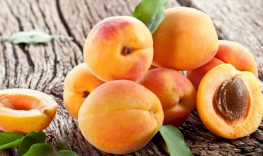 Hər gün 1 ərik yeyin, bu xəstəlikdən uzaq qalın