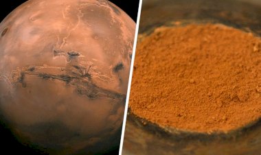 Marsda rekord uzunluqda üzvi molekullar aşkarlanıb