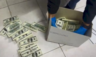 Türkiyədə 7 milyon dollardan artıq saxta əskinas aşkarlanıb, üç şübhəli saxlanılıb