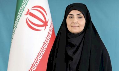 İranlı nazir Azərbaycana gələcək