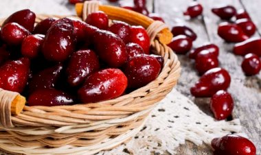 Zoğalın möcüzəvi faydaları