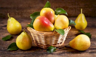 Armudun indiyə qədər bilmədiyimiz faydaları