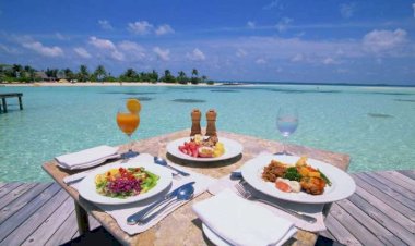 Yayda bu qidaları yemək ölümcül ola bilər