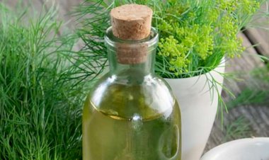 Arıqladır, şəkəri aşağı salır - Şüyüd suyunun faydaları