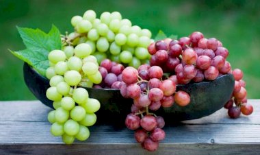 Üzüm yemək bu xəstəliyin qarşısını alır