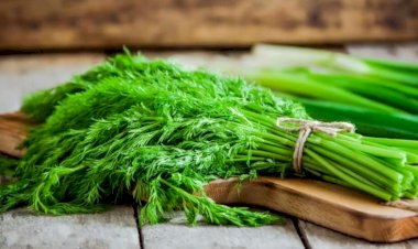 Bu şəxslərin nəzərinə - Hər gün şüyüd yeyin