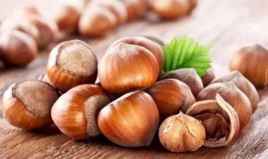 Bu xəstəliyi olanlar hər gün 3-4 fındıq yesin