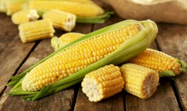 Bu xəstəliyi olanlar mütləq qarğıdalı yeməlidir