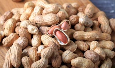 Bu problemi olanlar fıstıq yeməlidir