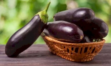 Badımcan bu xəstəliklərin dərmanı imiş