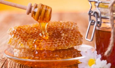 Balın bilmədiyimiz faydaları - Bu dərdlərə çarədir