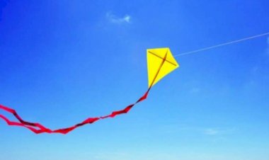 Sərnişin təyyarəsi çərpələnglə toqquşdu