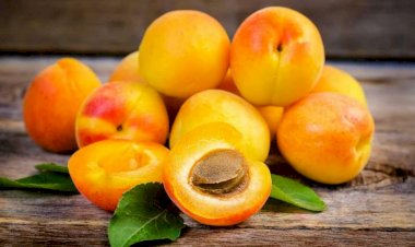 Əriyin bu faydalarını bilirdinizmi? - Həm dadlı, həm də şəfalı